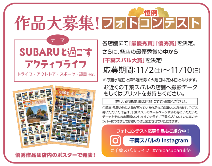 椿【卸】第4弾＋秋のリピーター様感謝祭 椿【卸】第4弾＋秋の