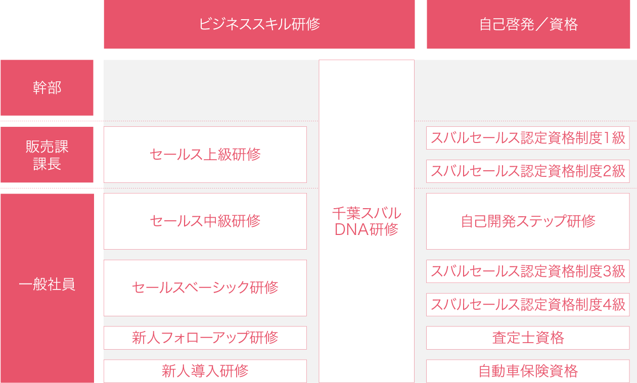 年代・習熟度別の研修