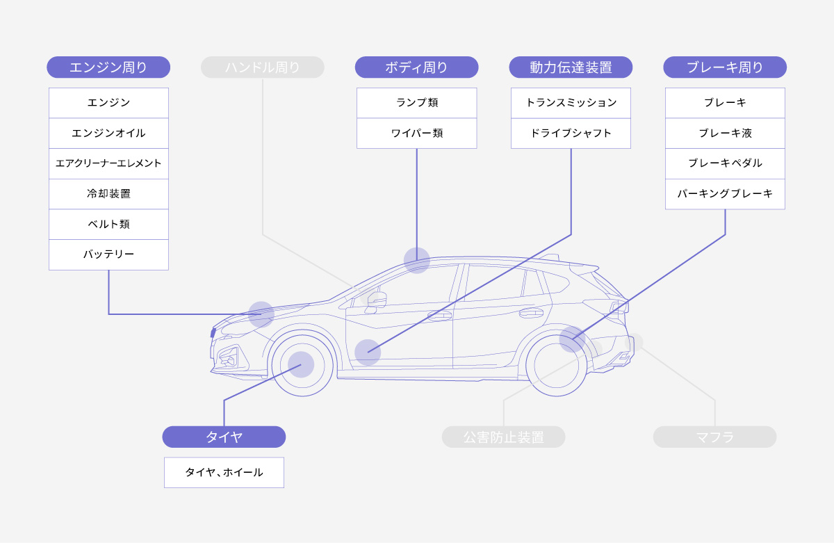 6か月ごとのセーフティチェック