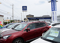 カースポット八千代